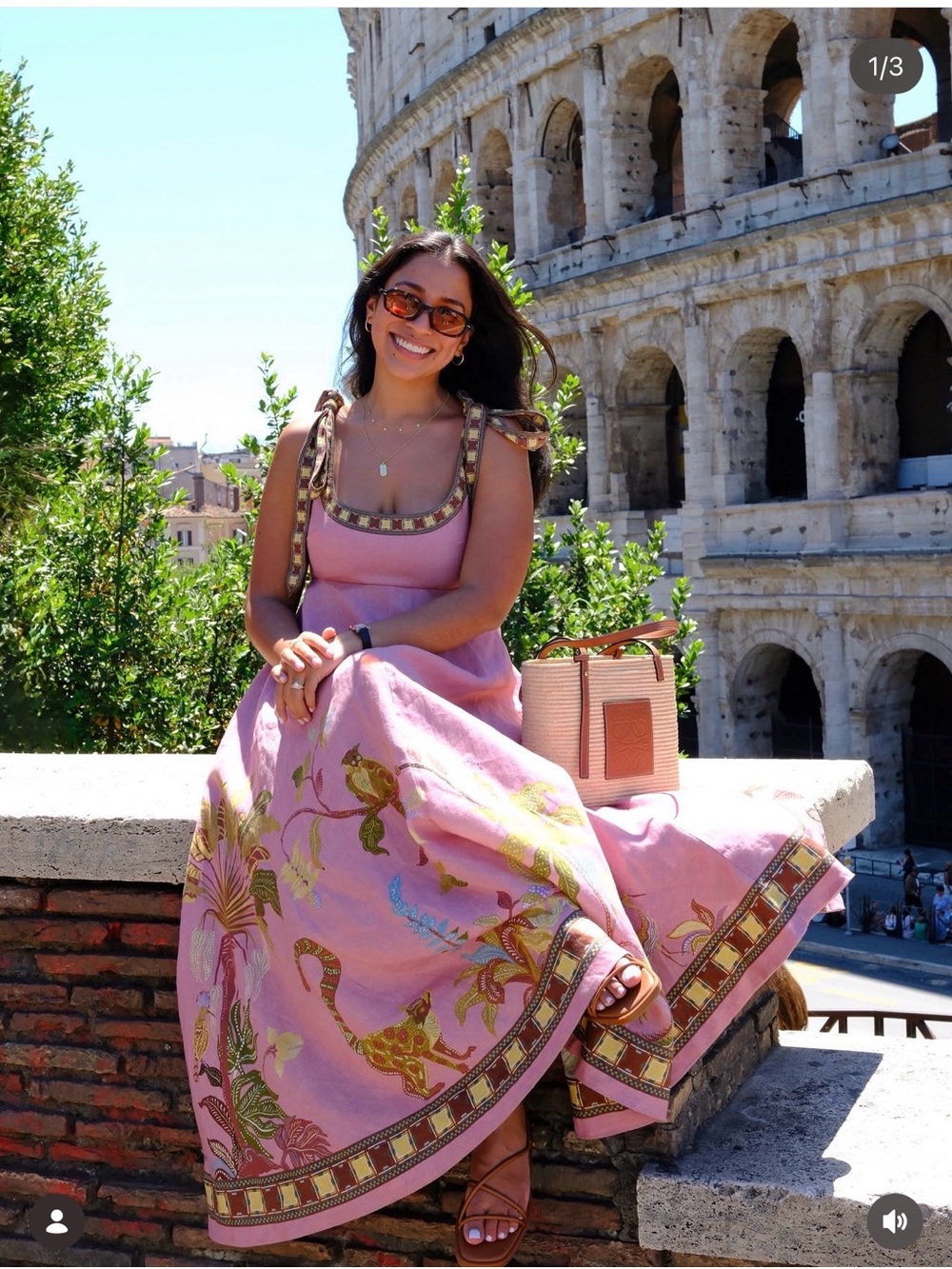 Alemais Zuri Dusty Rose Floral Border Maxi Dress last 3🔥🔥 - Picture 11 of 16